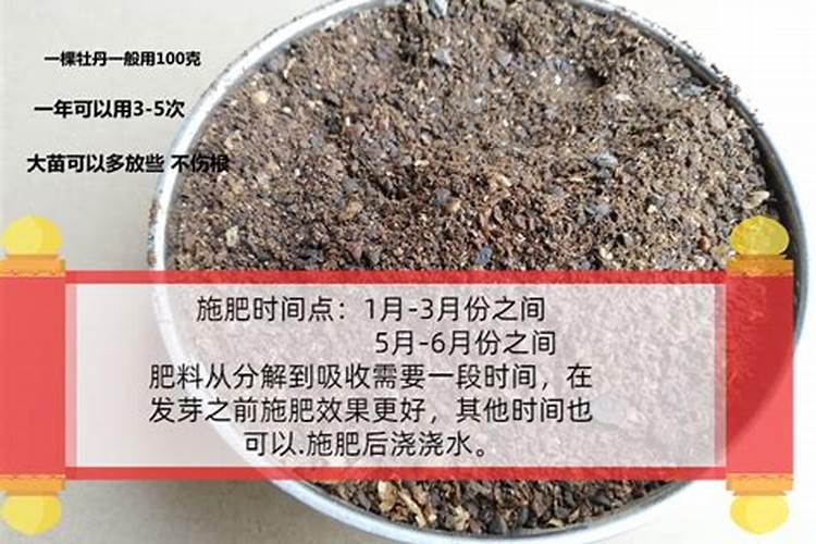 牡丹花什么时候施肥好牡丹花施肥最佳时间