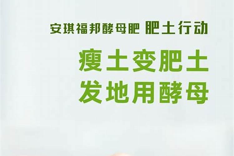 怎样发酵黄豆做有机肥