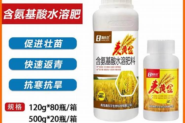 小麦分蘖期喷什么叶面肥