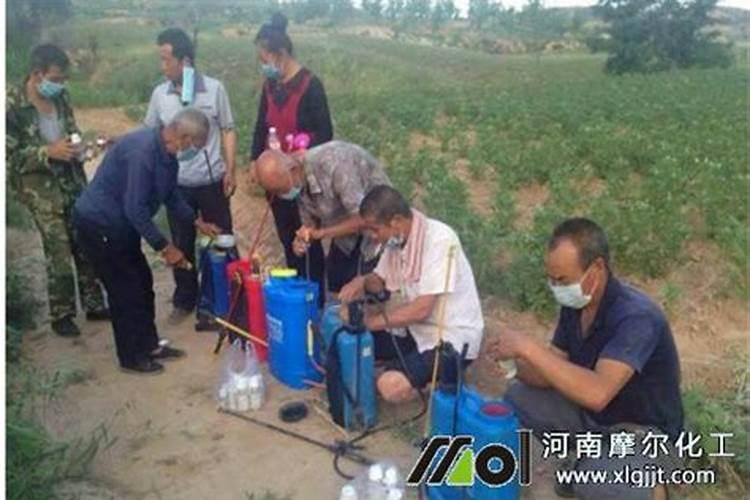 叶面肥配方包含什么物质