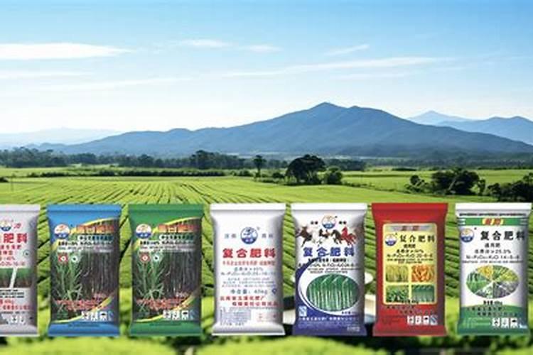 广东省最大磷肥厂