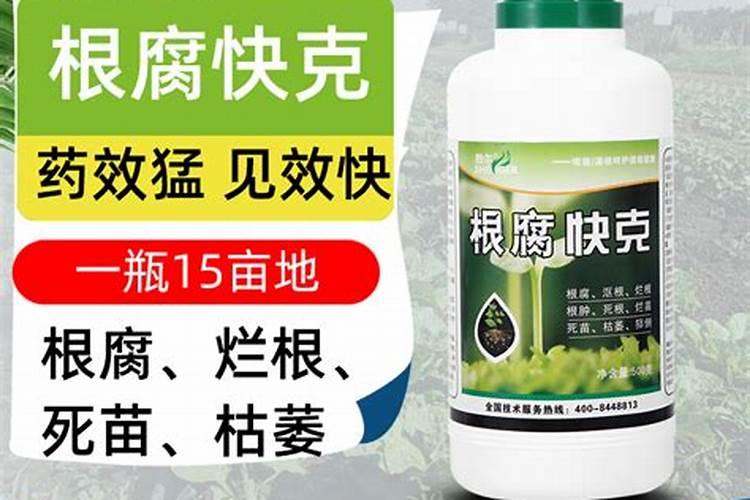 豆角如何提高结荚率？豆角用什么肥好？