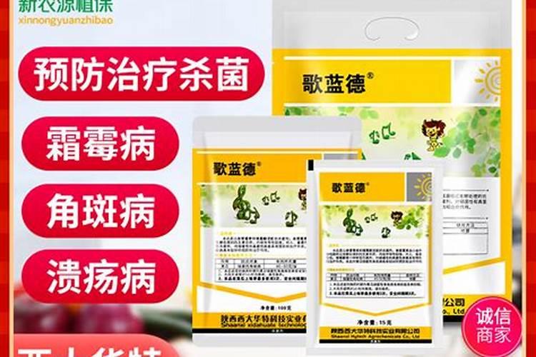 黄瓜叶子有黄斑点用什么药