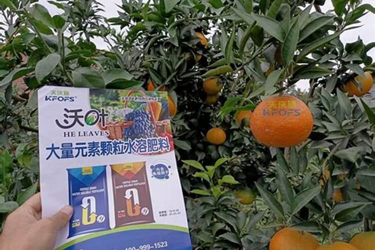 柑橘施肥可以全部采用根外施肥吗