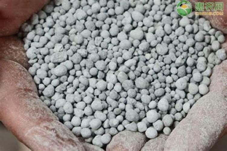 树木长粗用什么肥料
