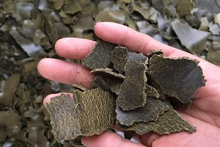 什么是“腐熟的豆饼水”？怎么做才能用来浇花呢？