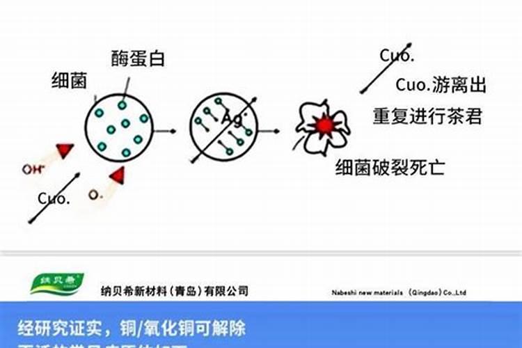 香椿枝枯病防治方法