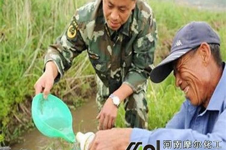 大量元素水溶肥怎么施用