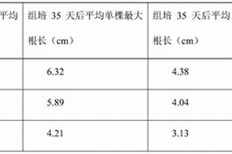 火焰山牌香菜种子30度以上高温种植能否出苗