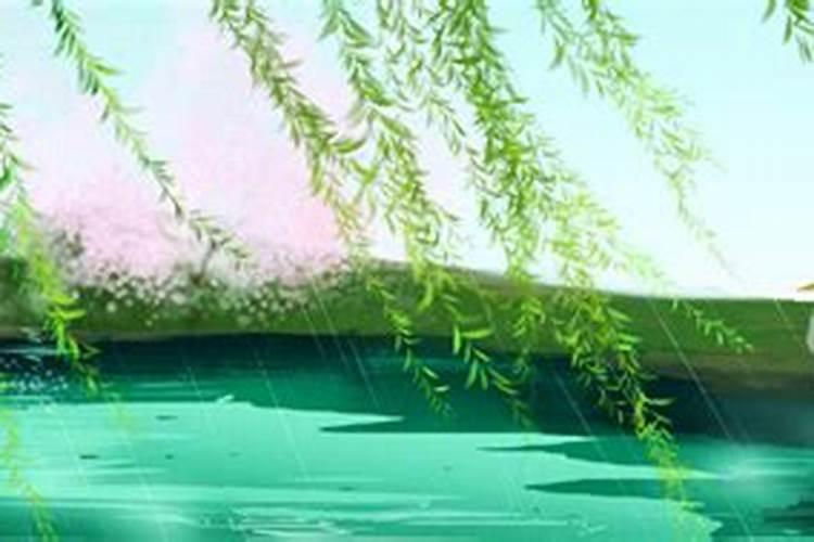 柳树叶能做肥料吗