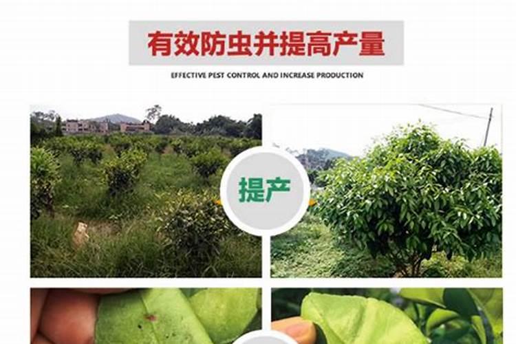 果树促花用什么叶面肥好？
