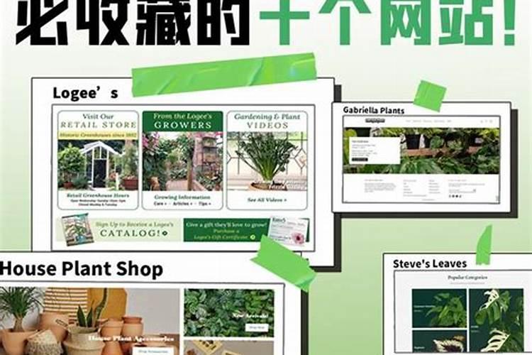 嘉莉比奥北美乔松弹性紧致美肌水的补水效果怎么样？