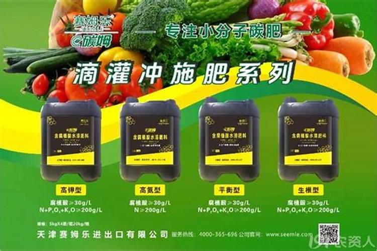绿叶植物用什么肥料
