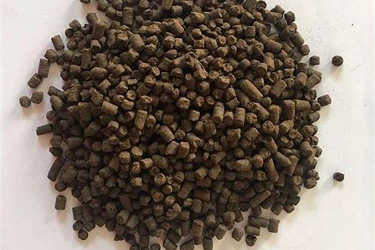 发财树用什么肥料最好