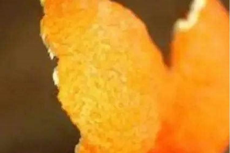 桔子皮能放花盆里做肥料吗