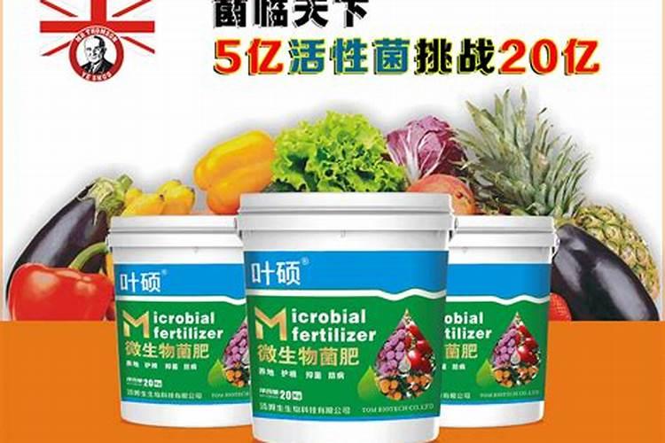 有什么办法能把水芹菜保存得新鲜又不烂