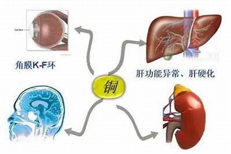 儿童微量元素缺乏有哪些症状 补充微量元素方法要对