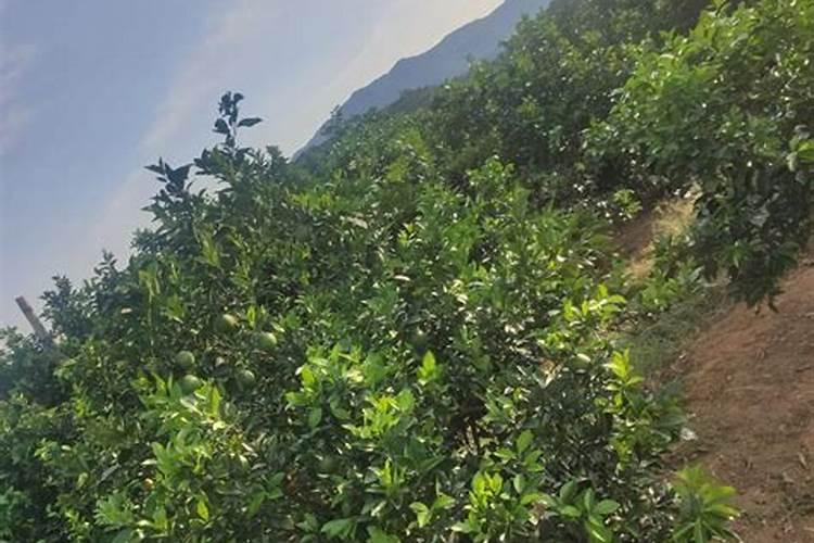 少量复合肥料不慎投入饮用水中,对人体有危害吗？谢谢