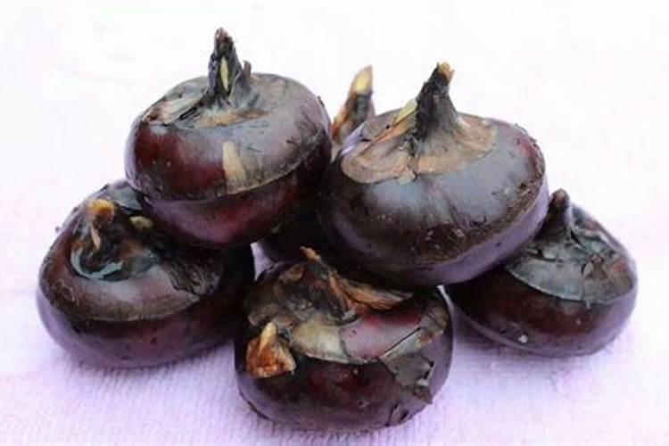 马蹄种植需要什么肥料