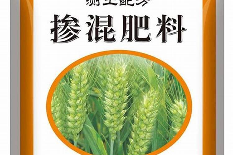 红叶石楠可以用种子育苗吗？