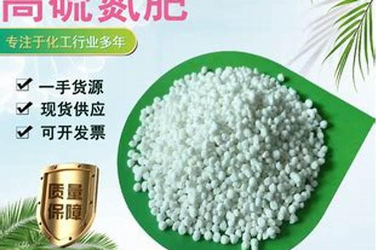黄心乌塌菜种植时间和方法黄心乌塌菜的种植时间和方法