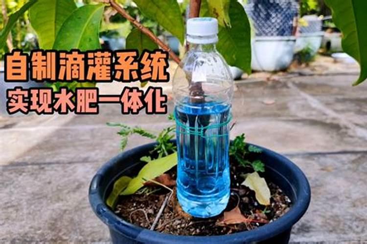 自制发酵水肥的方法