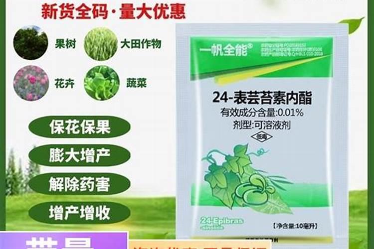 叶面肥哪个好