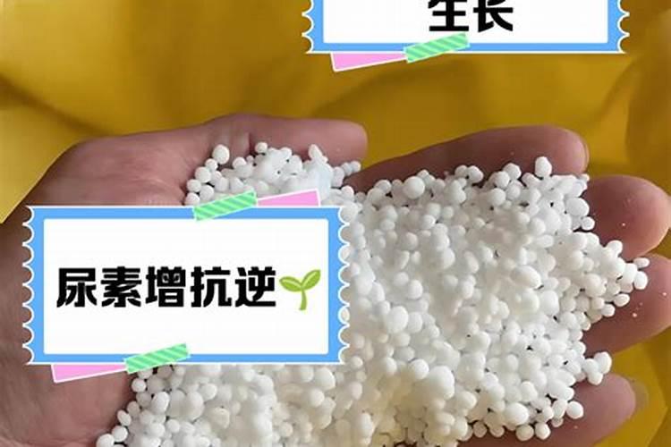 尿素当叶面肥使用方法