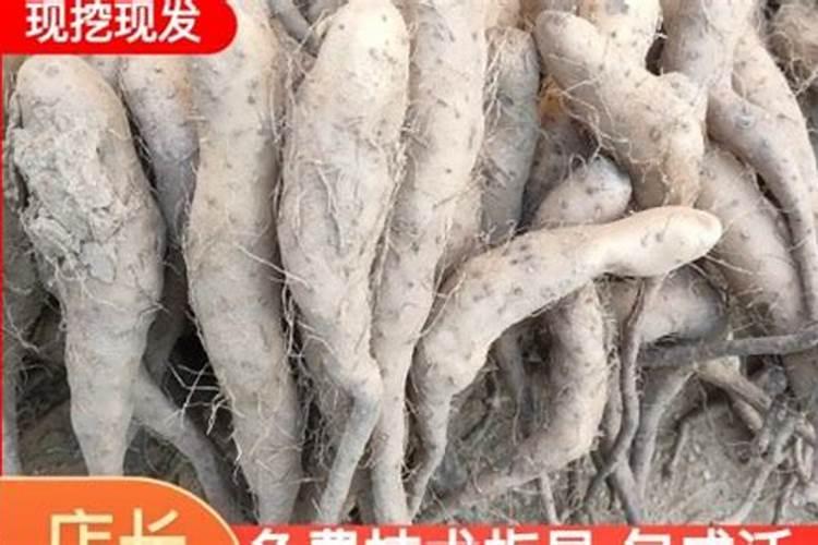 施肥的好处坏处