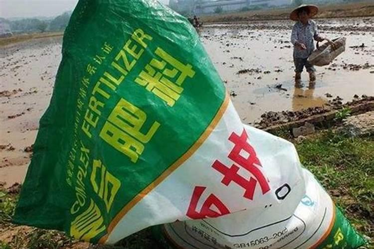 农药化肥专业要学哪些课程