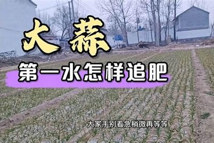 农用硝酸钾的作用与用途是什么(农用硝酸钾的作用与用途)