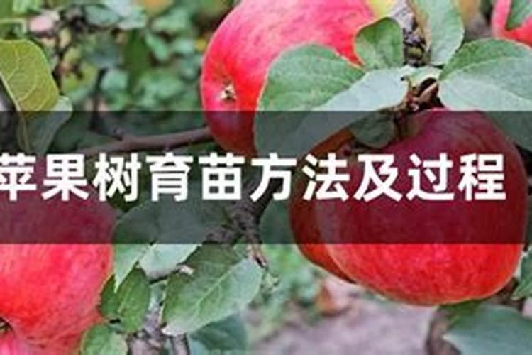 苹果树秋施基肥要施尿素吗