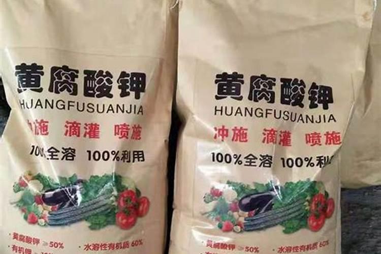 葡萄树施什么肥好