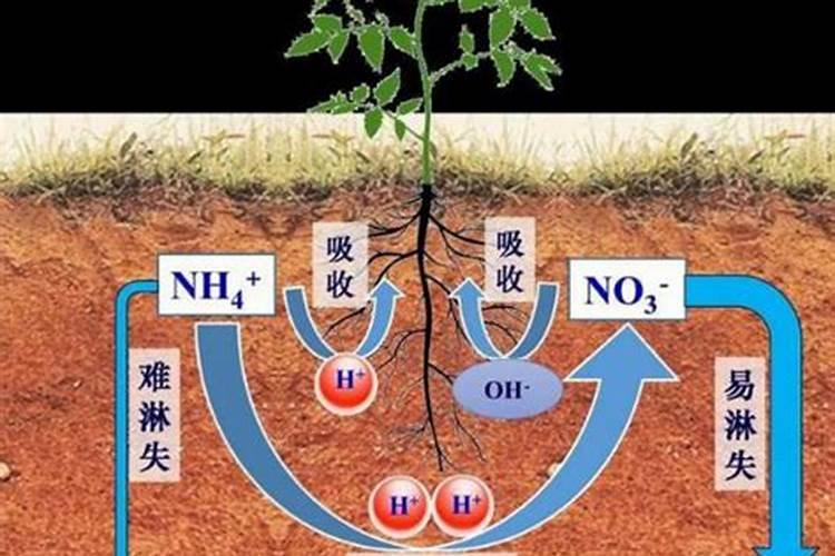 改良碱性土壤用什么酸