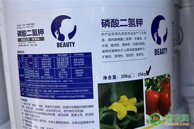 南瓜叶打小苏打放多少水