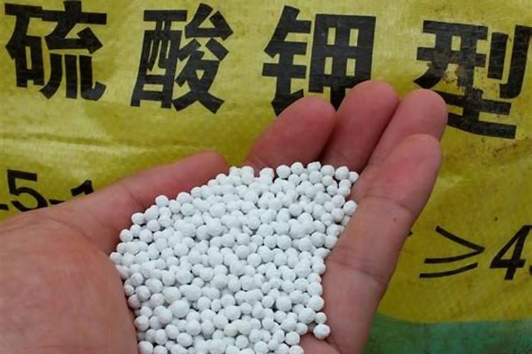 氯化钾和硫酸钾型复合肥的肥效有什么区别？