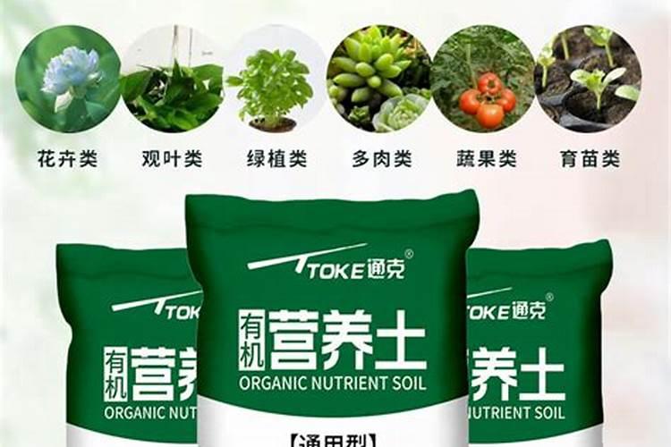 小麦孕穗期能浇水吗 小麦出苗后能浇水吗
