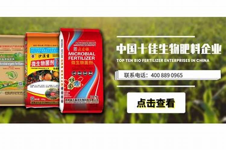 有机肥臭的能不能用