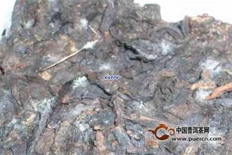 有机肥发酵过程中长霉是怎么回事？