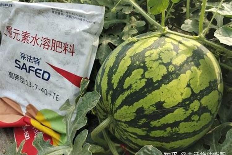 西瓜施什么肥料最甜