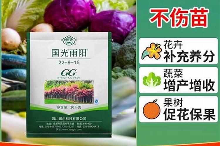 裂果病如何防治？