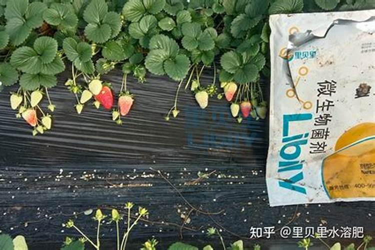 酸性土壤改良方法用什么肥 土壤酸性过高怎么施肥改良
