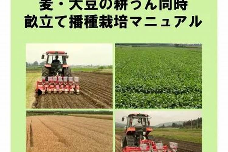 夏大豆合豆1号高产栽培高产栽培技术要点