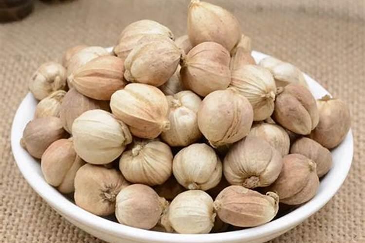 白兰花用什么肥料最好(白兰花怎么施肥长得快开花多)