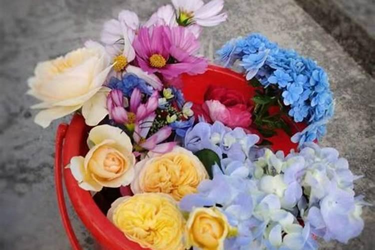 百合有花骨朵了,还可以施肥吗？