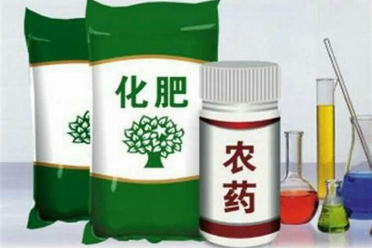 茄子用什么肥料高产