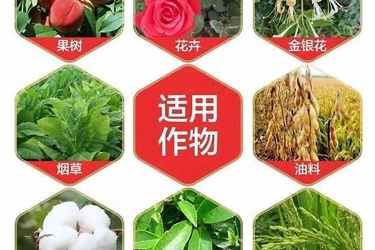 液体氮肥哪个厂家好