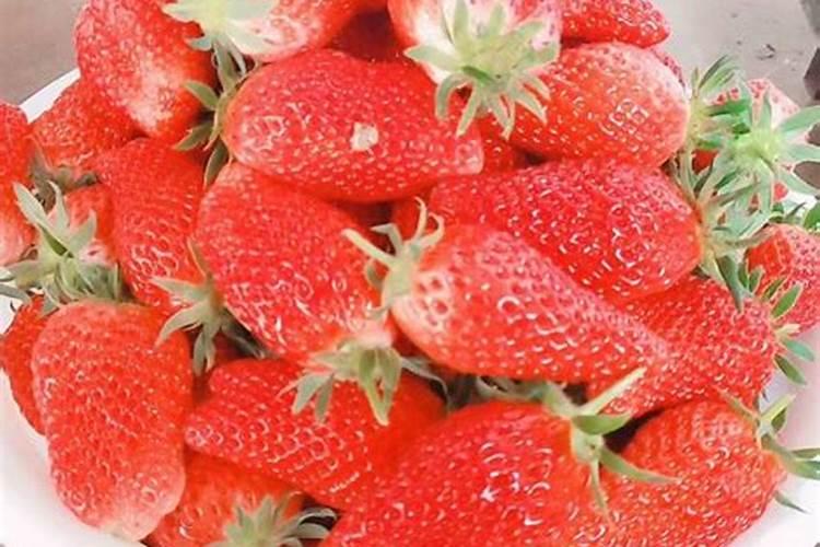 草莓专用肥可以放到绿植里吗