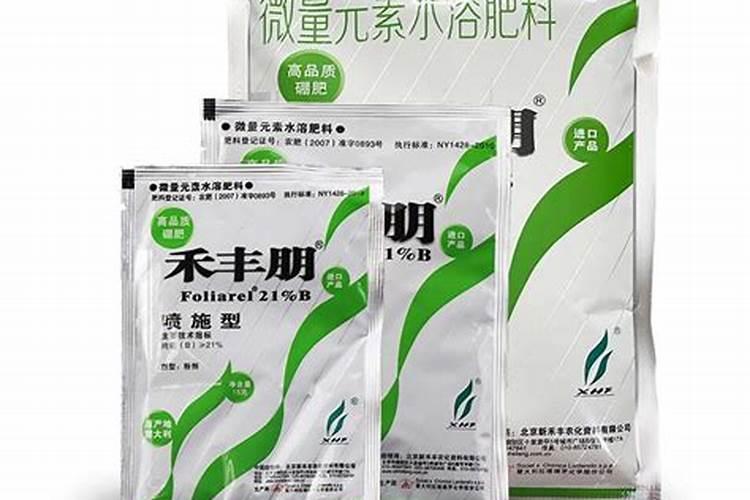 在葡萄开花的这个时期,浇水施硼肥可不可以呢