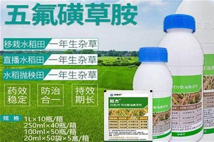 夏天阳台种菜多久浇水 夏季阳台种植,如何掌握浇水时间？